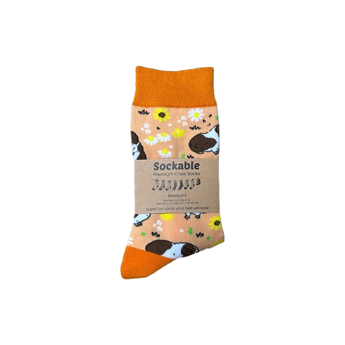 Guinea Pig Socks