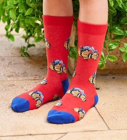 Monster Truck Socks for Kids