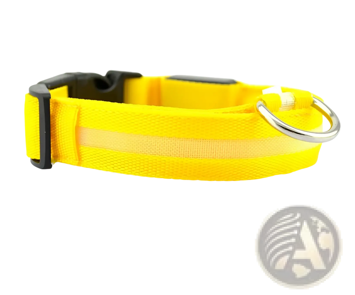 Led Dog Collar Night Safety Glowing Nylon Pet Leash