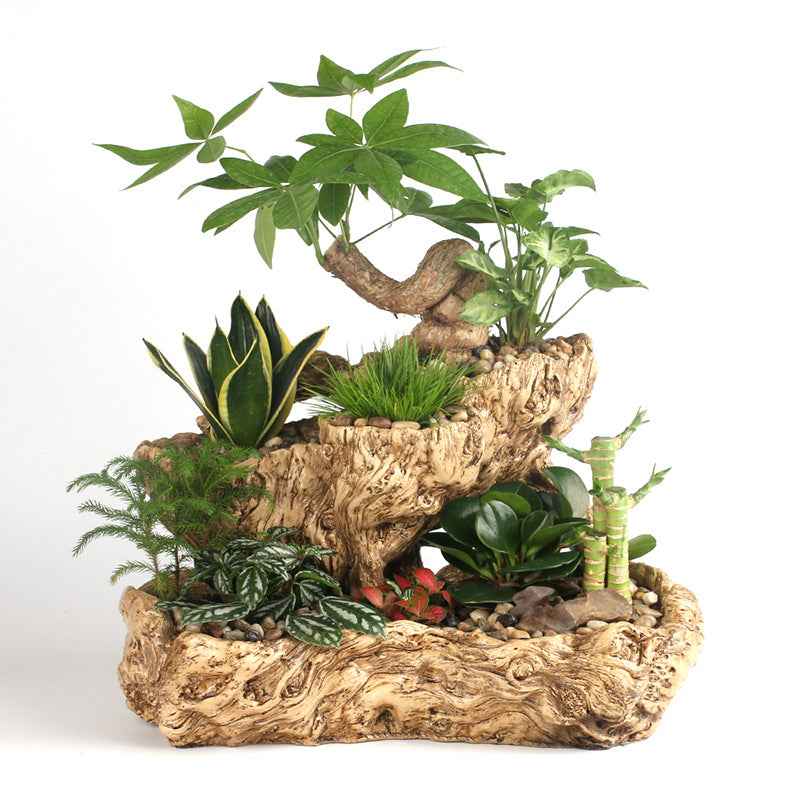 Resin Succulent Flower Pot – Beige Office Desktop Planter (45×28×29cm)