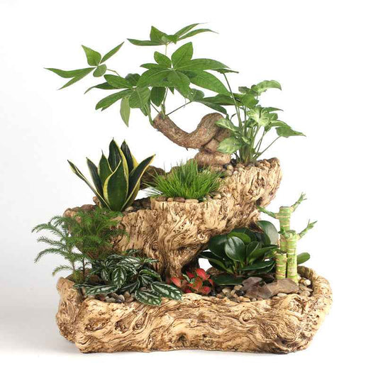 Resin Succulent Flower Pot – Beige Office Desktop Planter (45×28×29cm)