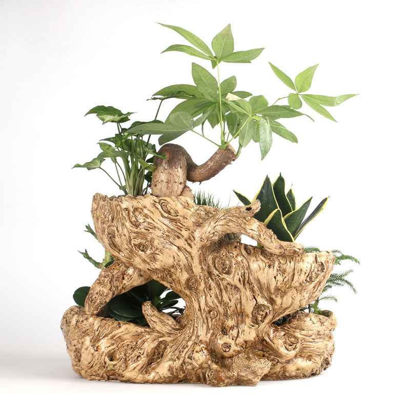 Resin Succulent Flower Pot – Beige Office Desktop Planter (45×28×29cm)