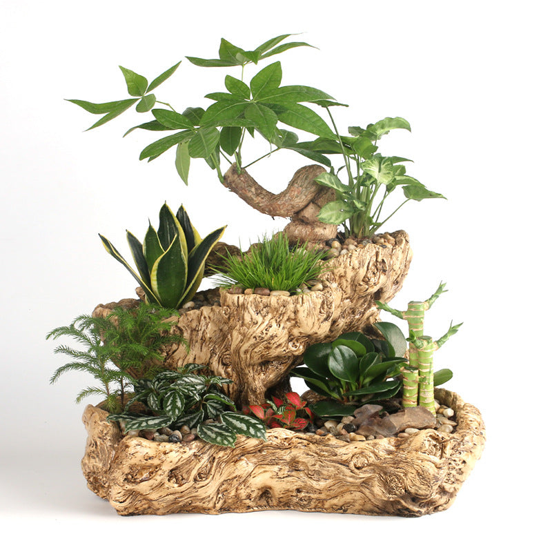 Resin Succulent Flower Pot – Beige Office Desktop Planter (45×28×29cm)