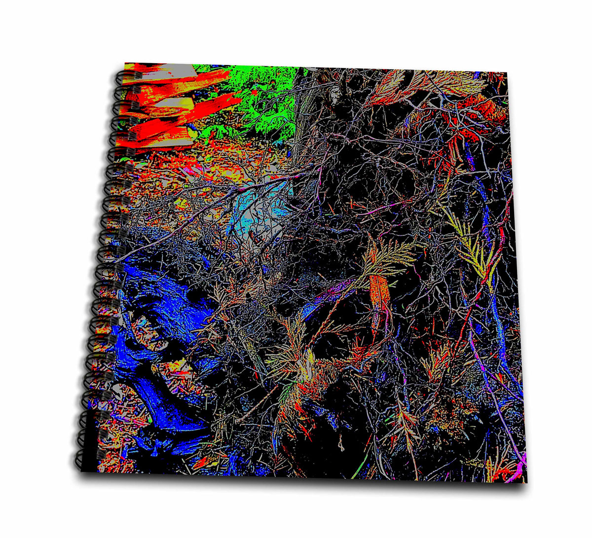 3dRose TANGLE OF ROOTS AND BRANCHES PHOTO - Drawing Books (db_359033)