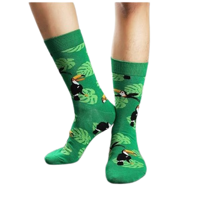 Toucan Socks