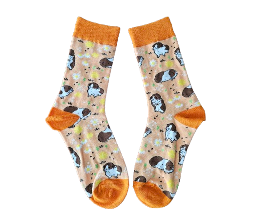 Guinea Pig Socks