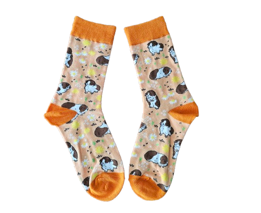 Guinea Pig Socks