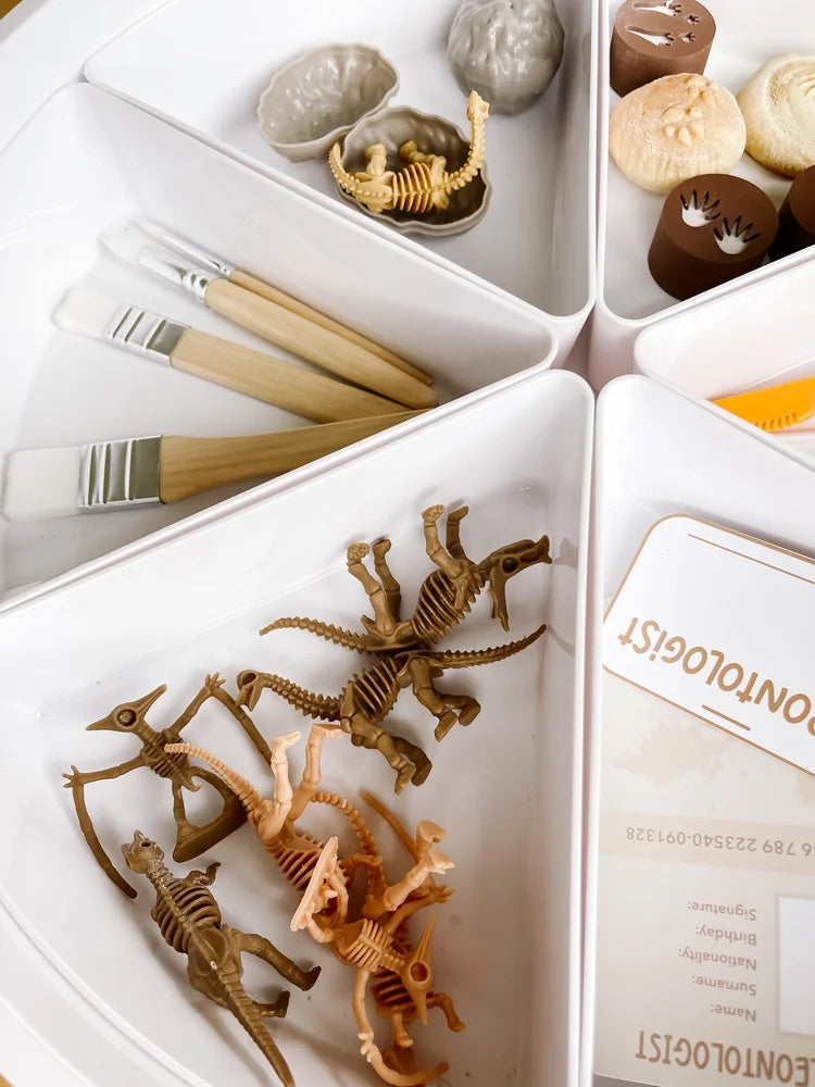 Dinosaur Dig Paleontologist Printable Dramatic Play Kit