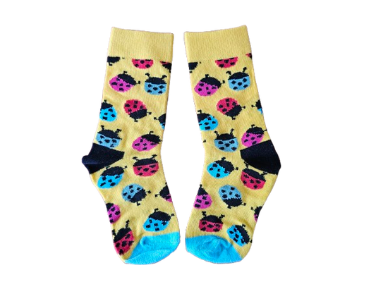 Ladybird Socks for Kids