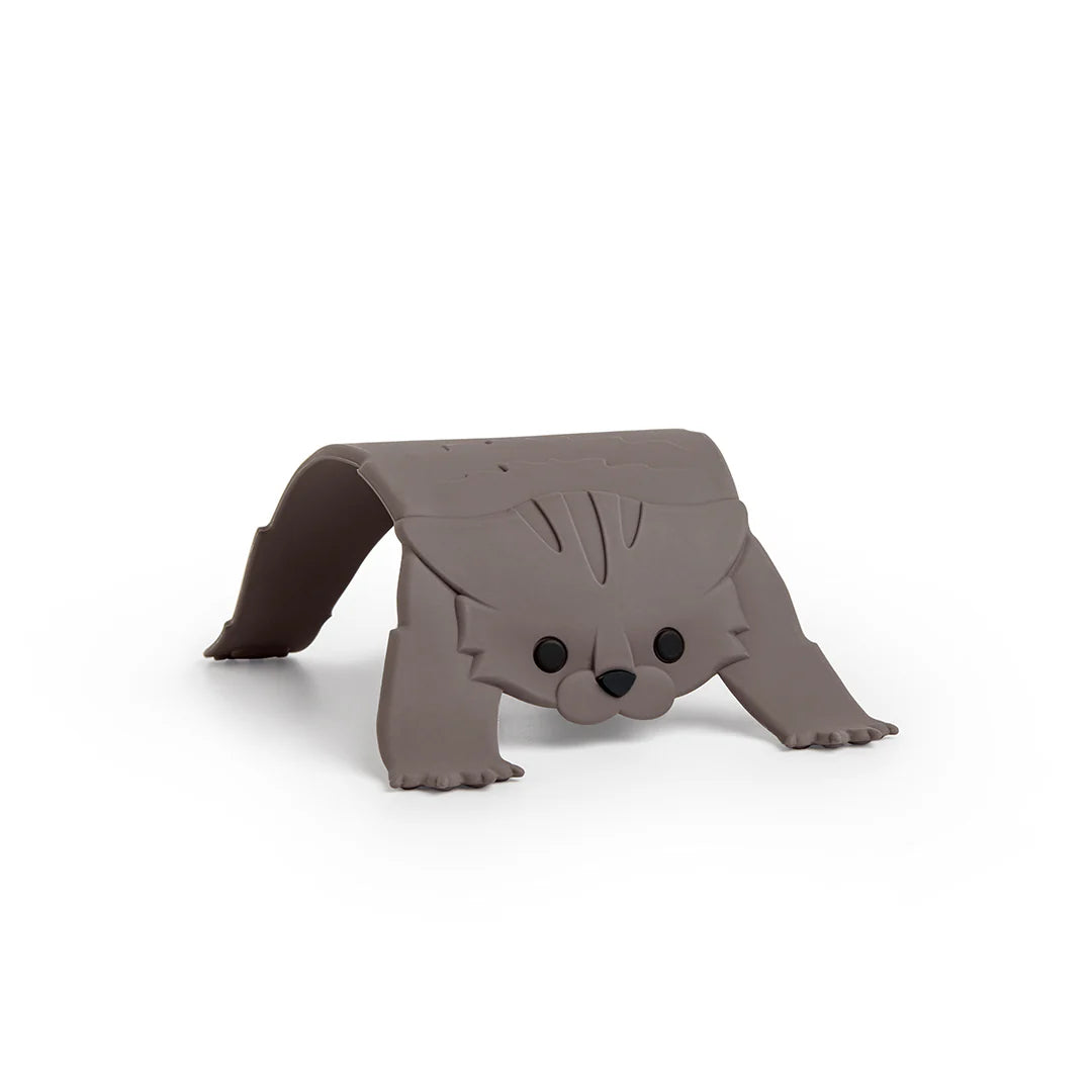 Scaredy Cat