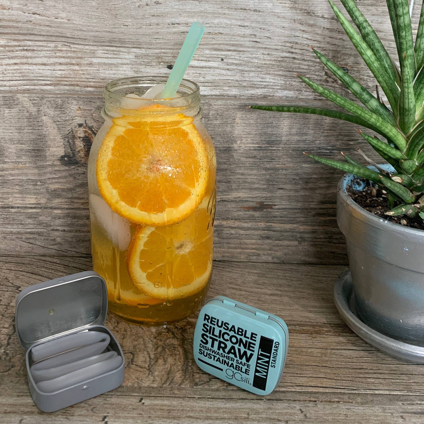 Silicone Straw with Travel Tin - Standard Size