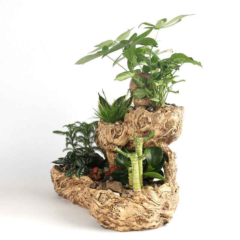 Resin Succulent Flower Pot – Beige Office Desktop Planter (45×28×29cm)