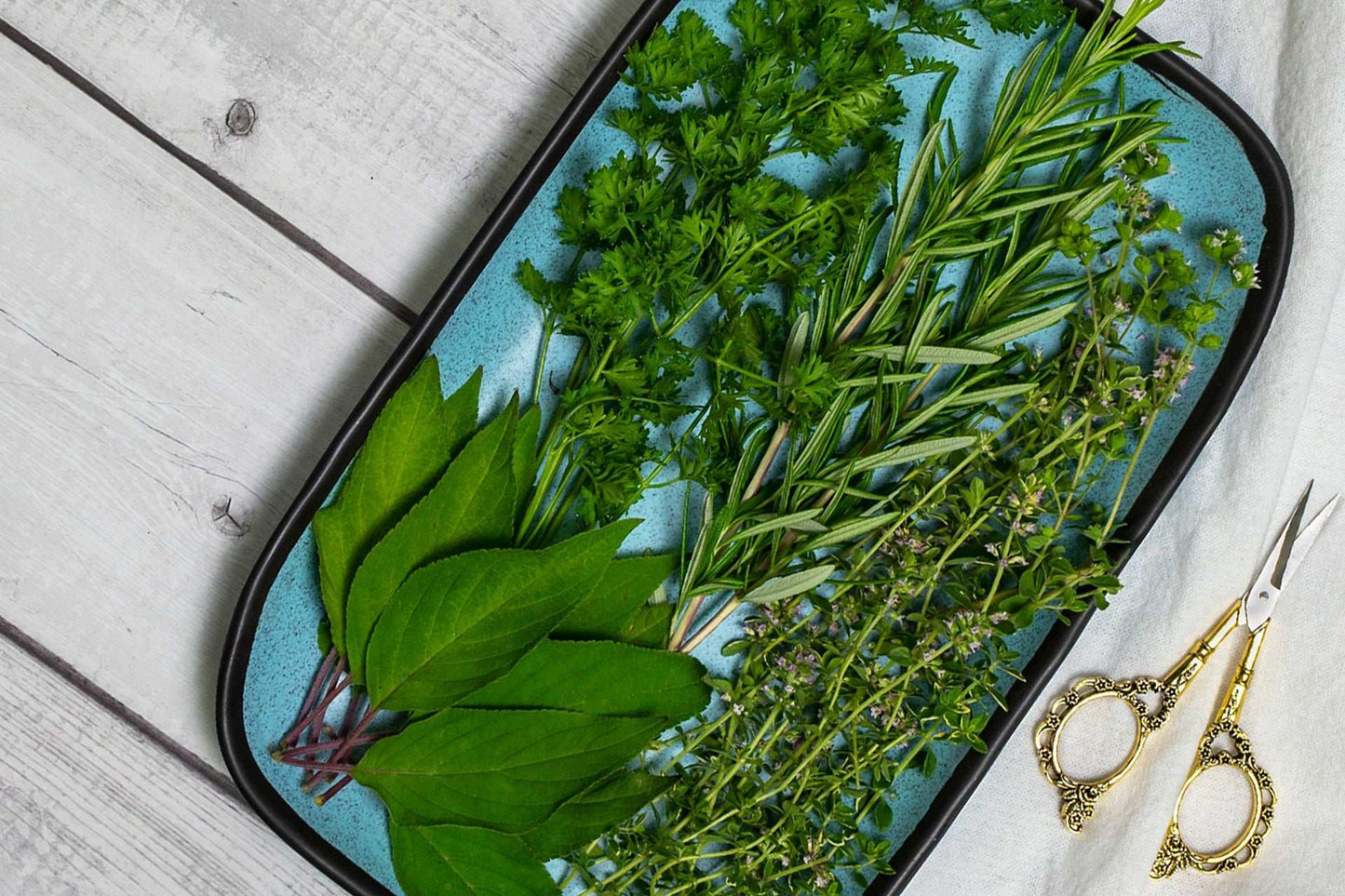 Essential Herb Collection Rosemary Sage Thyme Quart Pots