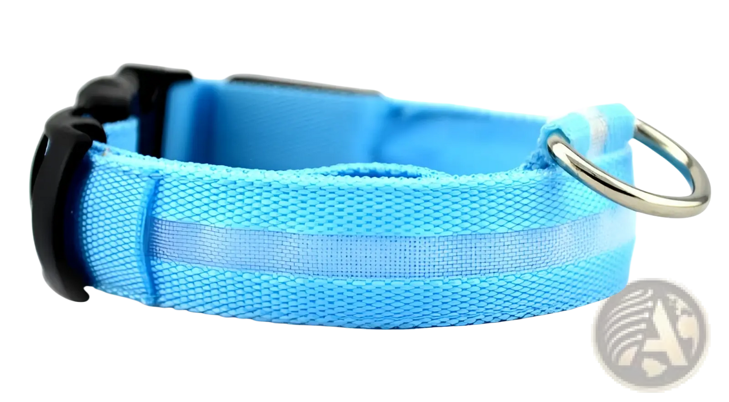 Led Dog Collar Night Safety Glowing Nylon Pet Leash