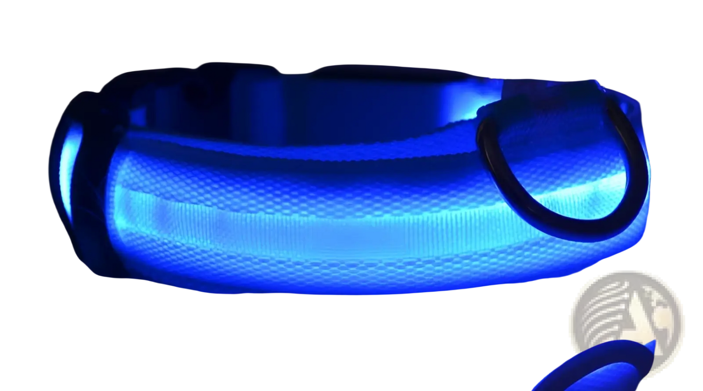 Led Dog Collar Night Safety Glowing Nylon Pet Leash