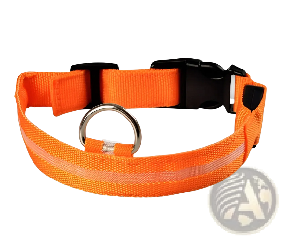 Led Dog Collar Night Safety Glowing Nylon Pet Leash