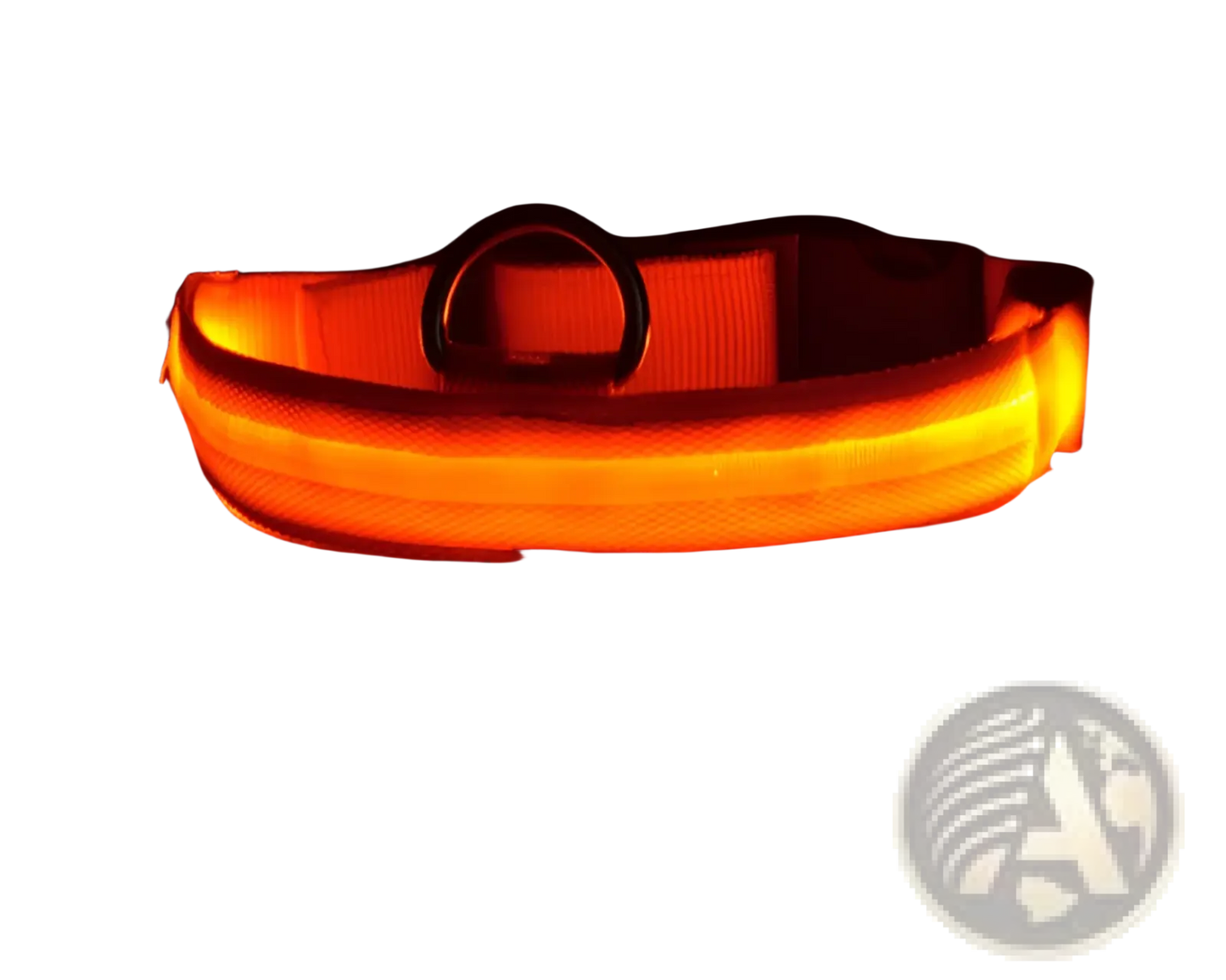 Led Dog Collar Night Safety Glowing Nylon Pet Leash