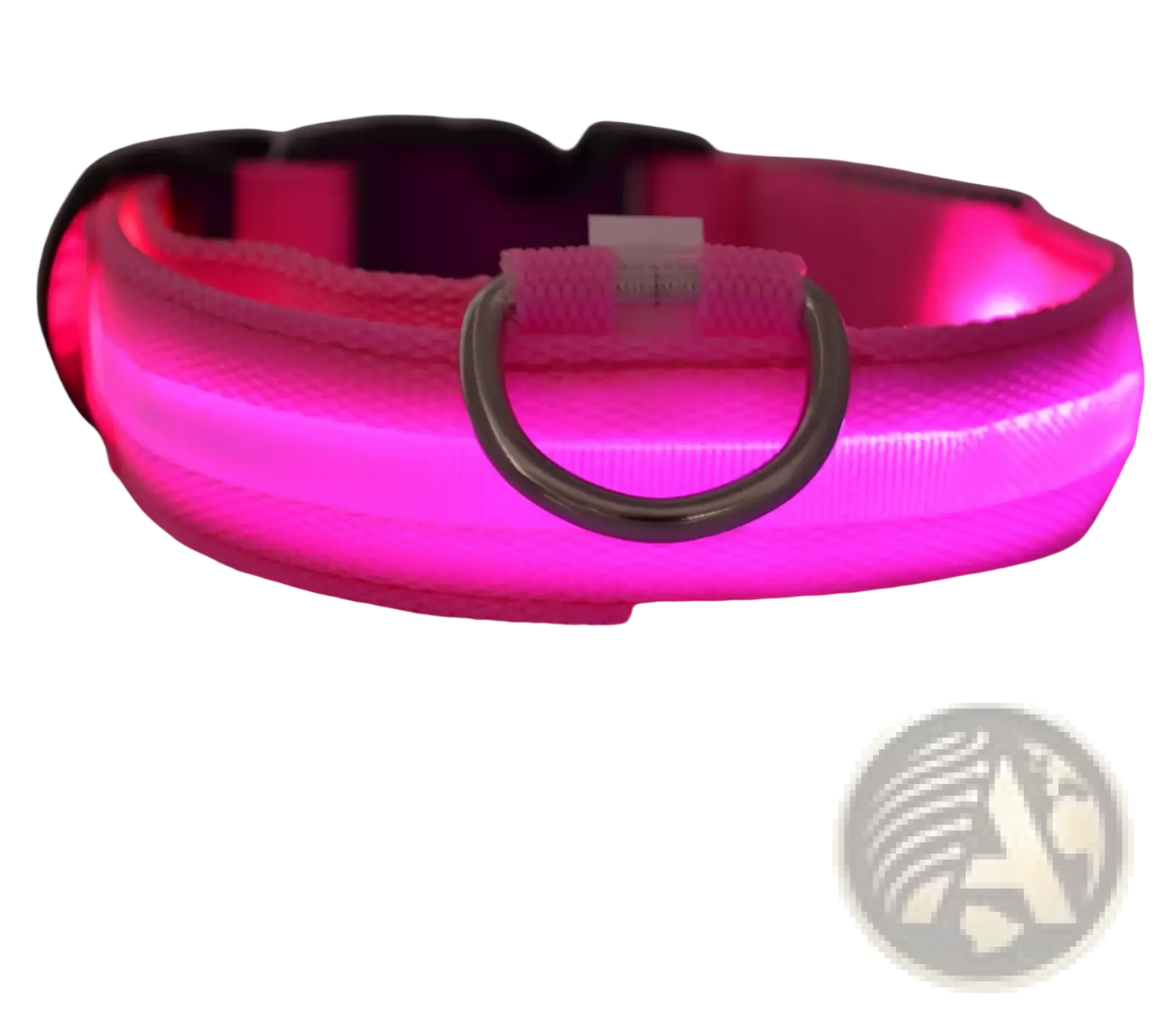 Led Dog Collar Night Safety Glowing Nylon Pet Leash