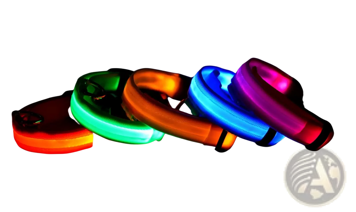 Led Dog Collar Night Safety Glowing Nylon Pet Leash
