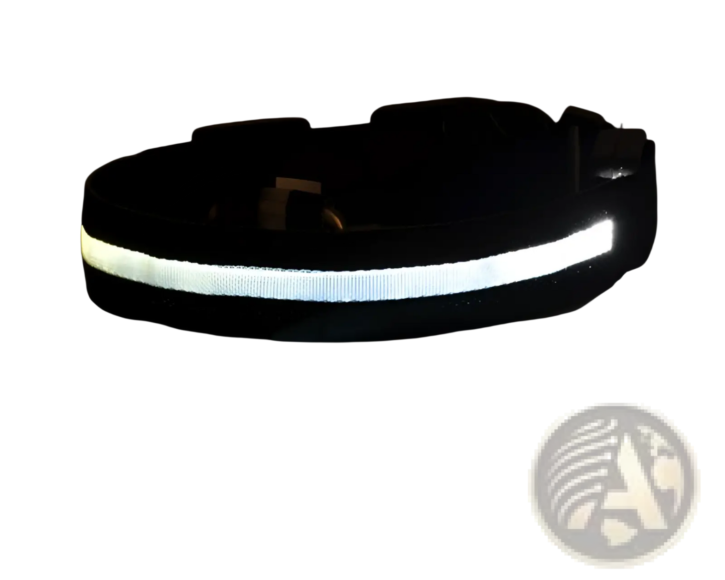 Led Dog Collar Night Safety Glowing Nylon Pet Leash