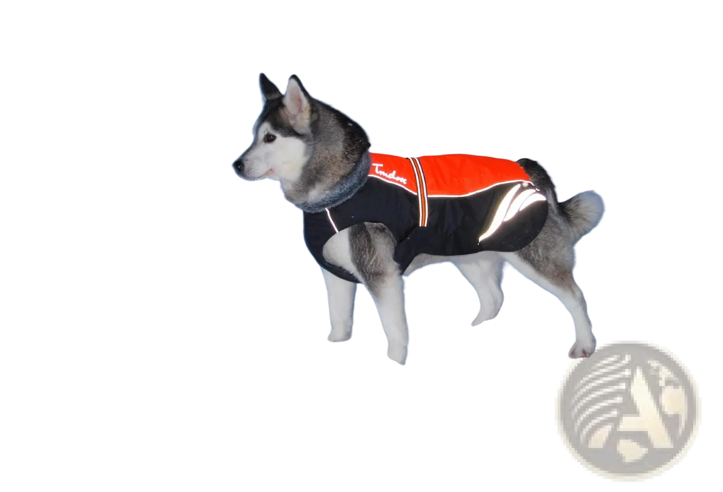 Led Waterproof Dog Down Jacket Winter Warm