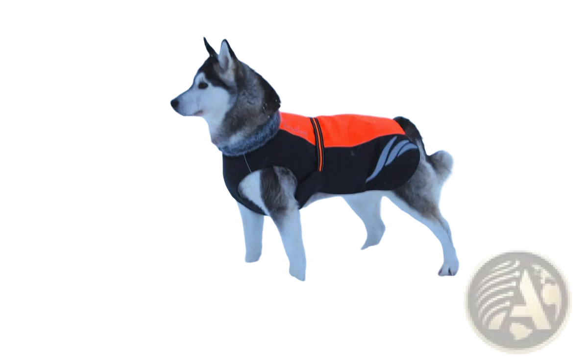 Led Waterproof Dog Down Jacket Winter Warm