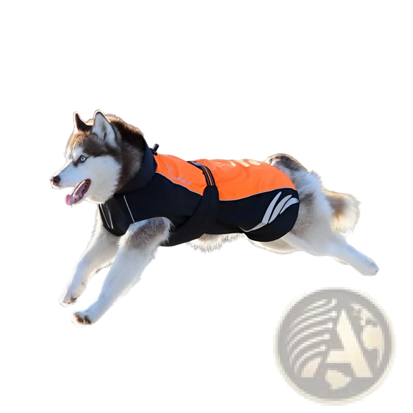 Led Waterproof Dog Down Jacket Winter Warm