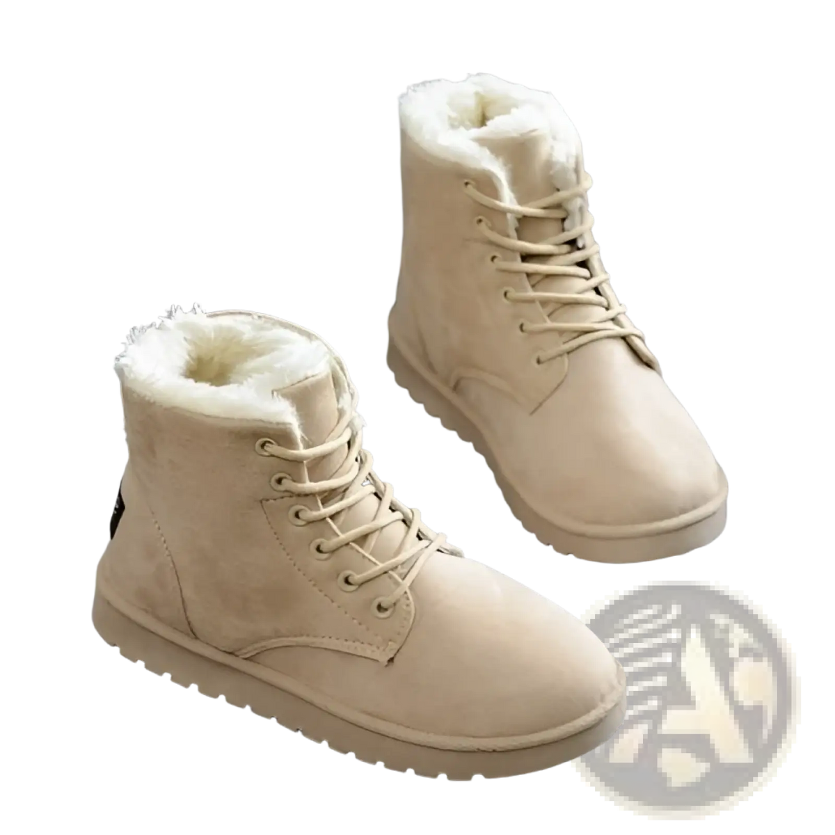 Martin Boots Women Suede Fur Lined Winter Shoes