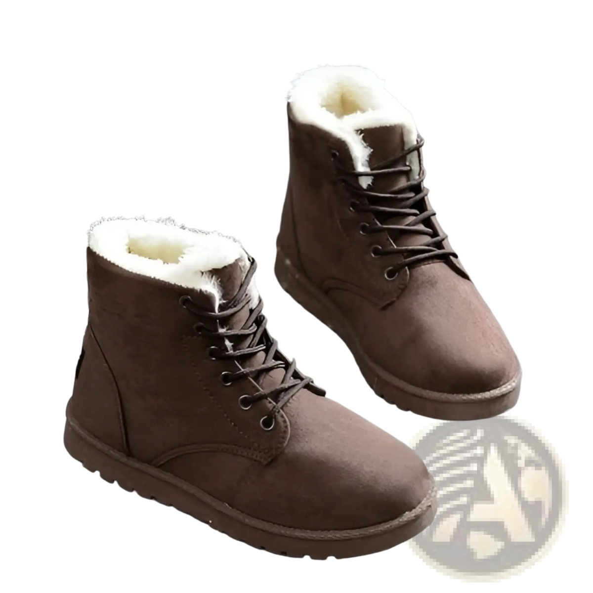 Martin Boots Women Suede Fur Lined Winter Shoes
