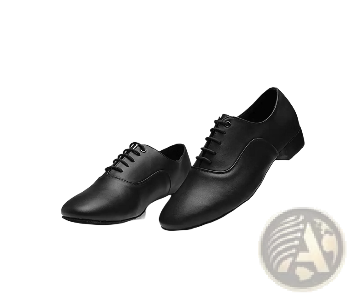 Men's Leather Latin and Ballroom Dance Shoes