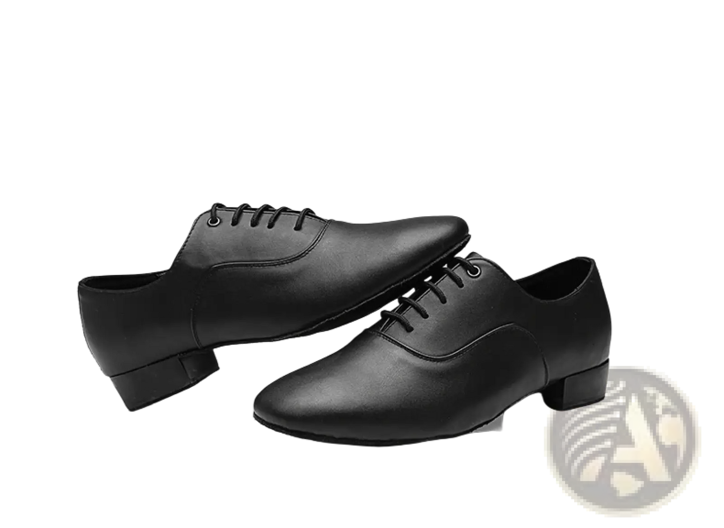 Men's Leather Latin and Ballroom Dance Shoes